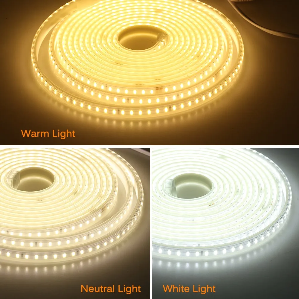 220V LED Strip 120LEDs 8W/m with EU Plug and Switch Not Dazzling Flexible LED Light Waterproof Outdoor Use LED Tape