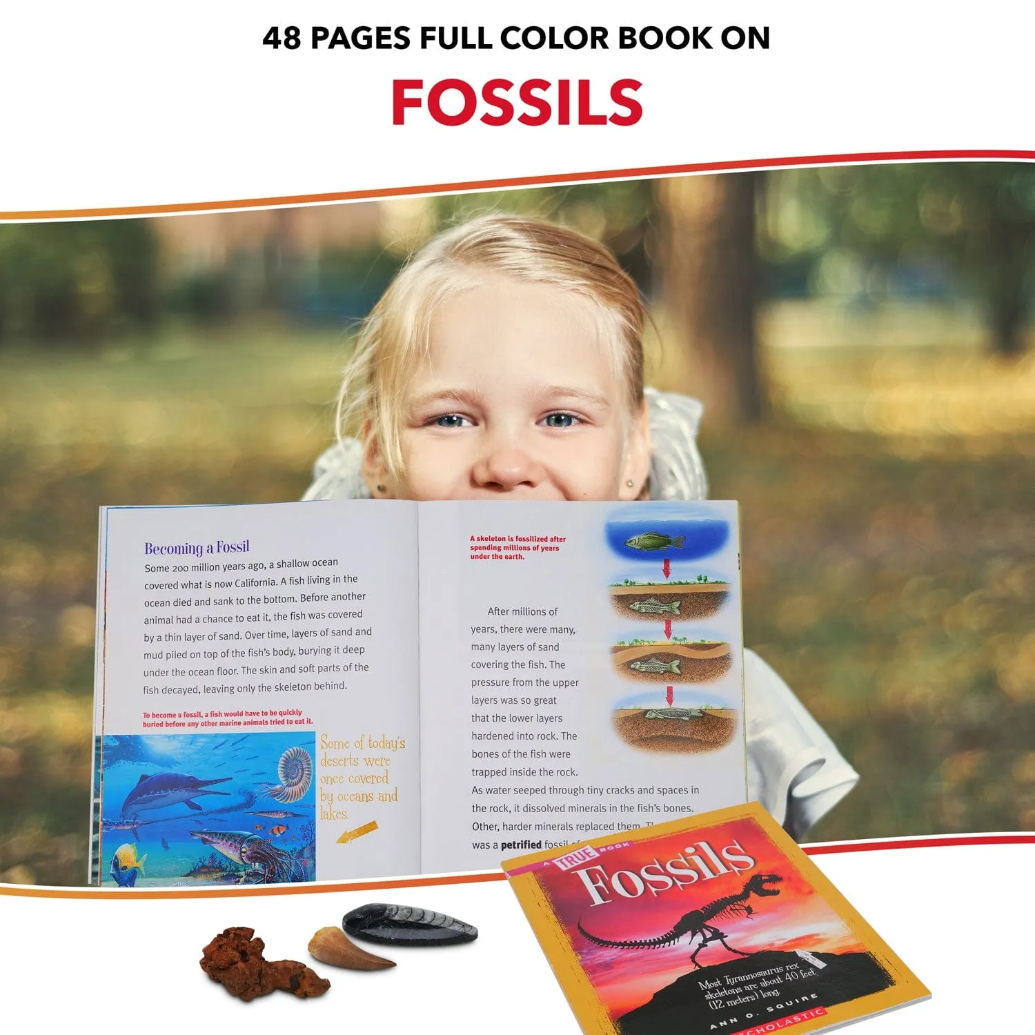 AmScope Kid's Fossil Explorer Series featuring 60X-120X Portable LED Handheld Microscope, Fossil Dig Kit, 18-Piece Premium Fossil Specimens and more