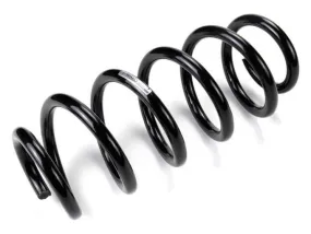 Audi Coil Spring – Front 8R0411105AQ