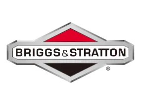 Briggs & Stratton - 770258 - CASE CARRYING