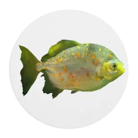 Green Fish with Specs Mouse Pad