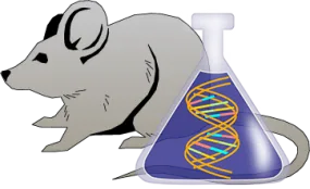 Mouse Factor XII Genetically Deficient Heart Lyophilized