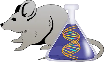 Mouse Factor XII Genetically Deficient Heart Lyophilized